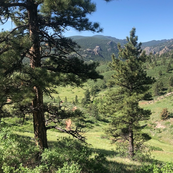 Meet your Posher, Riley - Picture 1 of 1